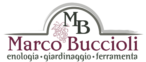 Marco Buccioli SNC